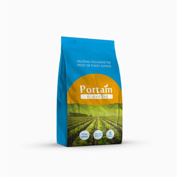 portam 6-6-42+S