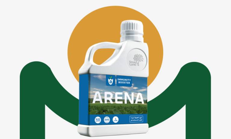 arena – SMART LAND