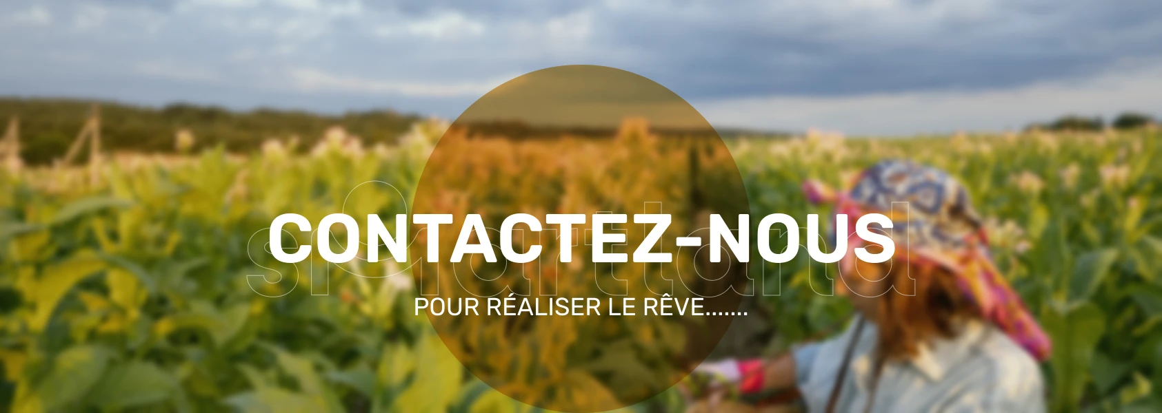 Contactez-nous – SMART LAND