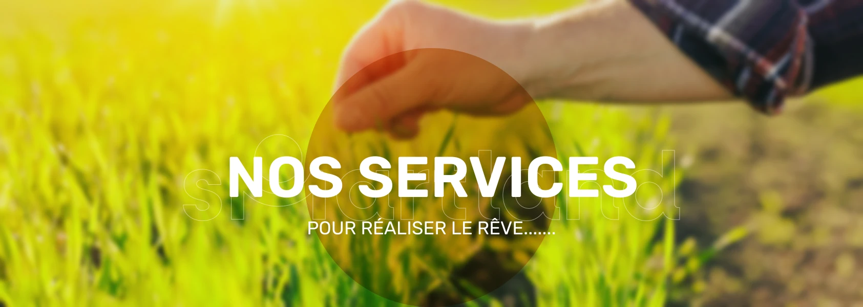 Nos Services – SMART LAND