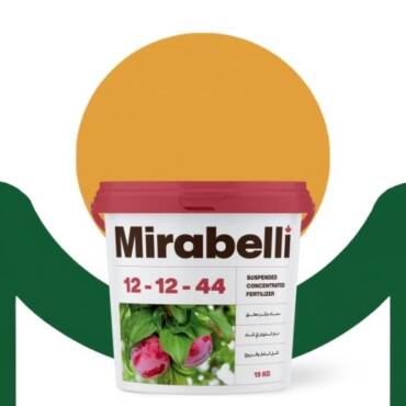 Mirabelli 12 - 12 - 44