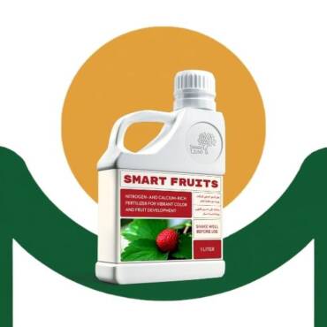 SMARTFRUITS