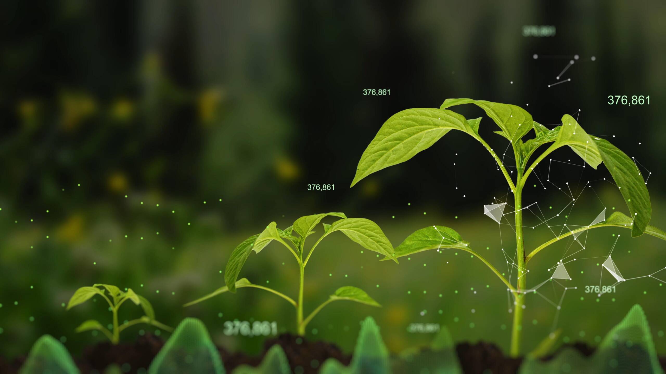 SMART LAND – SMART LAND
